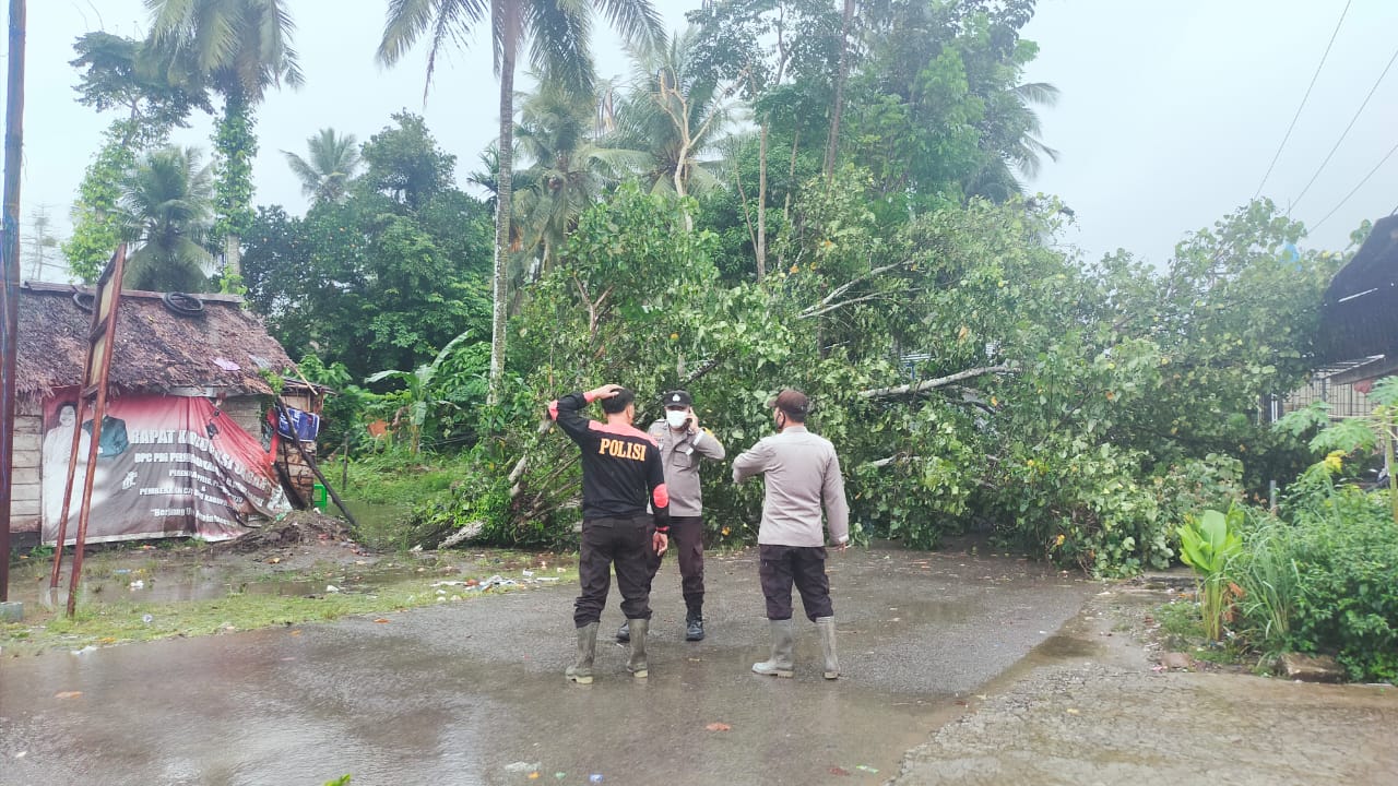 Polsek Sirombu Bersama Personilnya Bersihkan Pohon Tumbang, Himbau Masyarakat Berhati-Hati