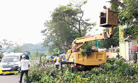 Dianggap Rawan Roboh Dan Celakai Pengguna Jalan, Pohon Rawan Roboh Dipangkas DPU