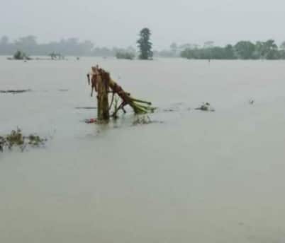 Diduga Terjadi Pendangkalan Sungai, Jalan Kabupaten Dan Lahan Pertanian Di Kecamatan Ciemas Sukabumi Banjir